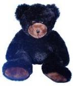 black teddy bear 