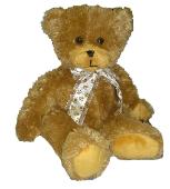 brown bear with ribbon