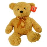 brown stuffed bear gift